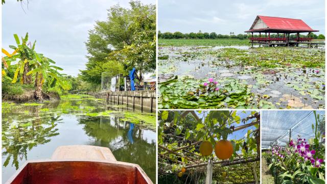 2D1N Nakhon Pathom Eco-Staycation: Khlong Maha Sawat Tour, Phra Pathom Chedi & Organic Local Cafes