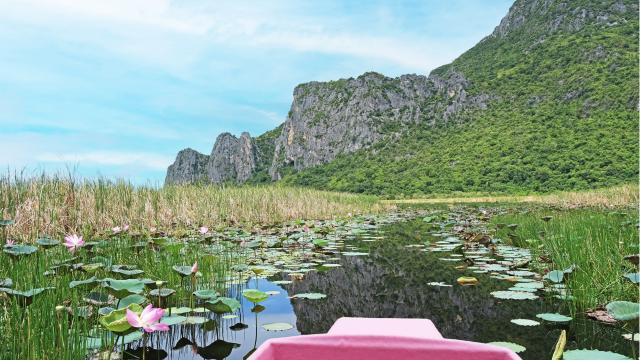Khao Sam Roi Yot: Nature Experience Private Charter Tour | Thailand
