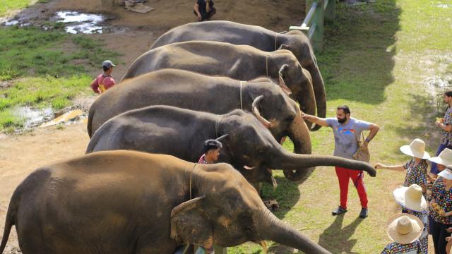 Kanta Elephant Sanctuary Experience Half Day Tour