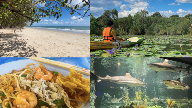 1-Day Rayong Trip from Pattaya: Rayong Aquarium, Ban Phe Market & More | Thailand