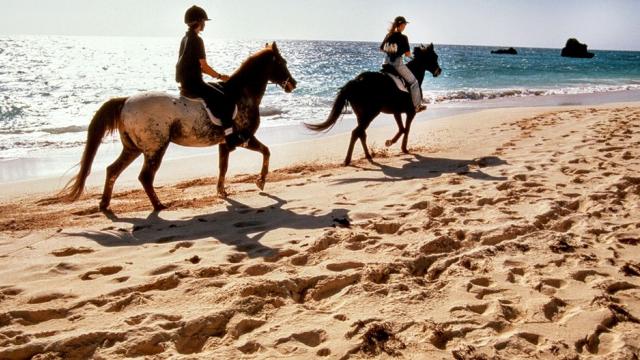 Ao Nam Mao Beach: Horseback Riding Experience | Krabi
