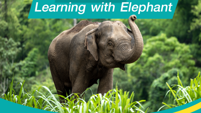 Elephant Sanctuary Half-Day Tour with Lunch in Khao Lak | Thailand
