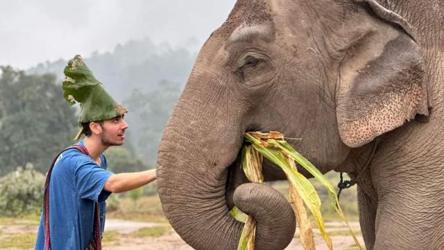 Chiang Mai Living Green Elephant Experience | Thailand