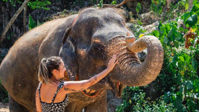 Krabi Aonang Elephant Sanctuary Half-Day Experience | Thailand
