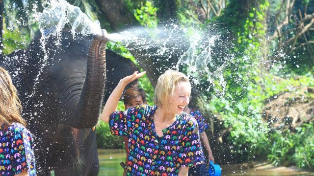 Chiang Mai, Thailand|Chiang Mai Elephant Conservation Experience Camp (5 camps to choose from)|Half-day tour & one-day tour