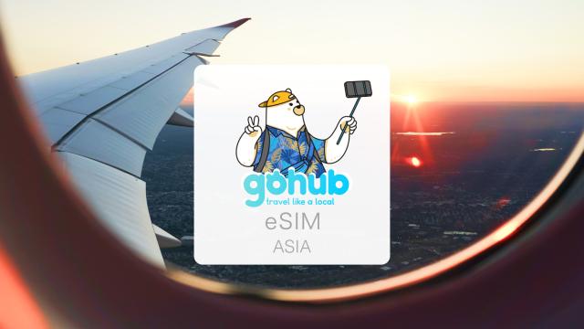 [50%OFF on designated plan] Asia 7 countries eSIM for Tourist|Singapore, Malaysia, Thailand, Indonesia, Cambodia, HongKong, Macau