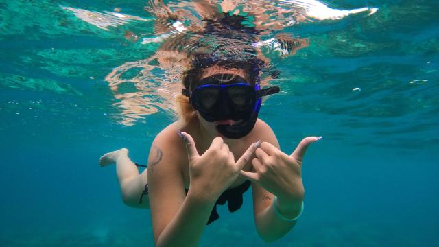 Koh Phi Phi: Half-Day Speedboat Tour to Maya Bay with Snorkel | Thailand