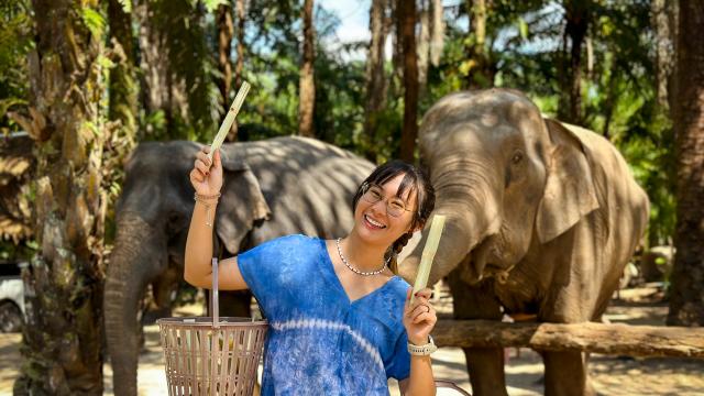 Elephant Encounter at Krabi Elephant Shelter | Thailand