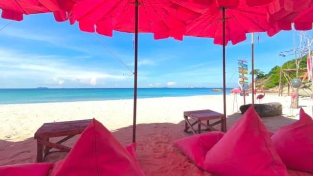 Pattaya, Thailand|Koh Larn Golden Sands Island Day Trip - Koh Lam/Coral Island & Instagram Theme Pink Restaurant|Free aerial photos and videos