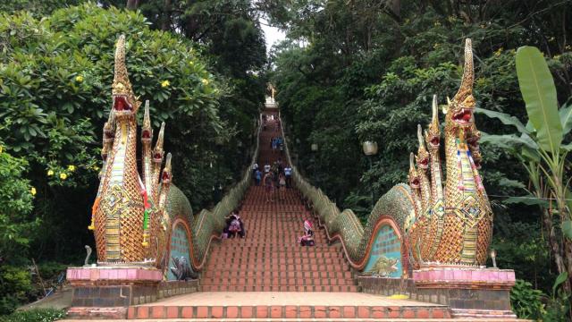 Chiang Mai, Thailand|Shuanglong Temple + Doi Suthep + Phuping Palace or Chiang Mai University Reservoir Guided Half-day Tour