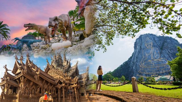Pattaya Discovery Private Tour from Bangkok or Pattaya: Sanctuary of Truth, Nong Nooch Tropical Garden & Khao Chi Chan  | Thailand