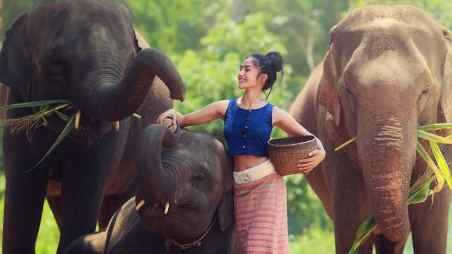 Elephant Nature Park Experience | Thailand