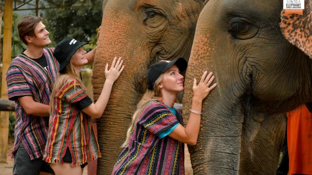 Phuket Island Elephant Jungle Sanctuary Experience | Thailand