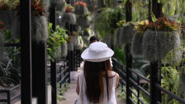 Nong Nooch Tropical Garden Admission Ticket | Pattaya
