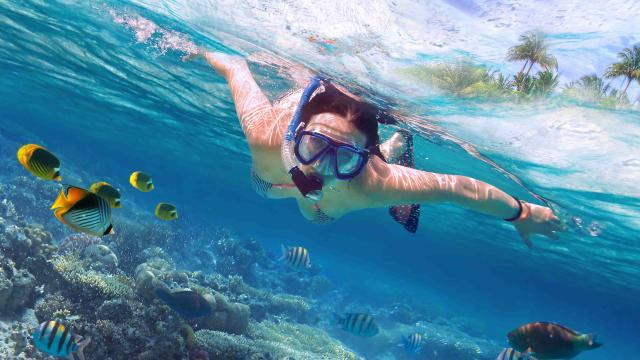 Nemo Island Snorkeling Experience | Pattaya