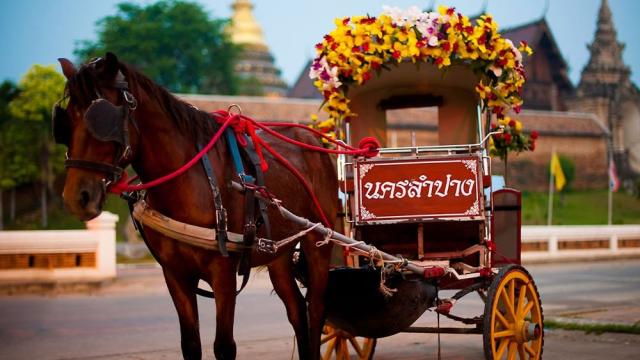 Lampang Day Tour from Chiang Mai: Wat Phra Phutthabat Sutthawat and Dhanabadee Ceramic Museum