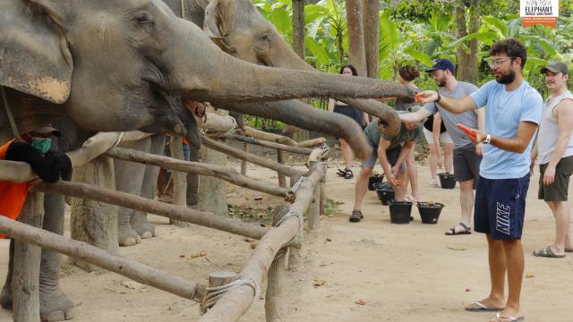 Samui Island Elephant Jungle Sanctuary Experience | Thailand
