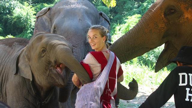 Kerchor Elephant Eco Park Half-Day & Full-Day Tour | Chiang Mai
