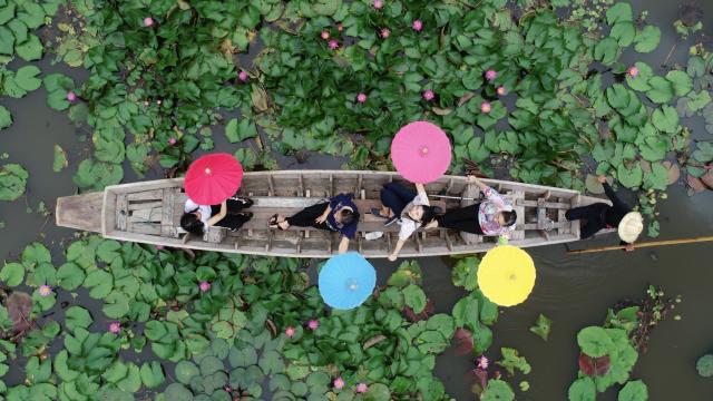 Red Lotus Pond & Thonburi Market Cultural Experience | Nakhon Pathom, Thailand