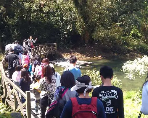 宜蘭｜太陽埤 ＆香草菲菲博物館＆福山植物園一日遊