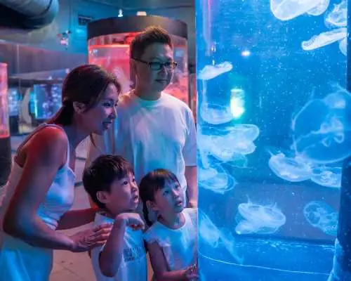 花蓮遠雄海洋公園｜海洋夜未眠
