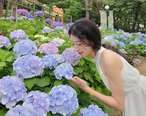 대구 이월드 자유이용권