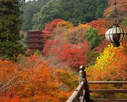 奈良観光タクシー｜大和路1日観光コース・ 西国三十三所 巡礼の旅｜奈良市内送迎付き