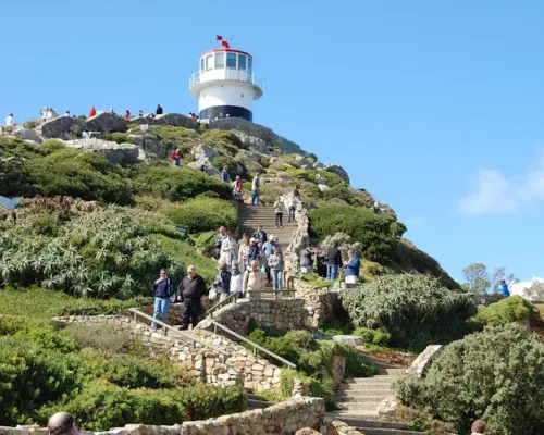 ケープタウン発ケープ半島1日ツアー