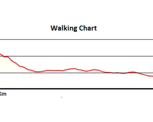 沙巴半日游 |老柴 - 大范