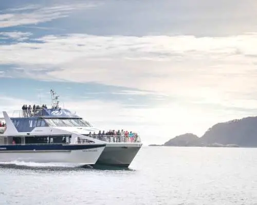 Passengers enjoy a Doubtful Sound wilderness cruise on a modern catamaran, navigating the calm waters with a distant green coastline and bright skies in New Zealand.