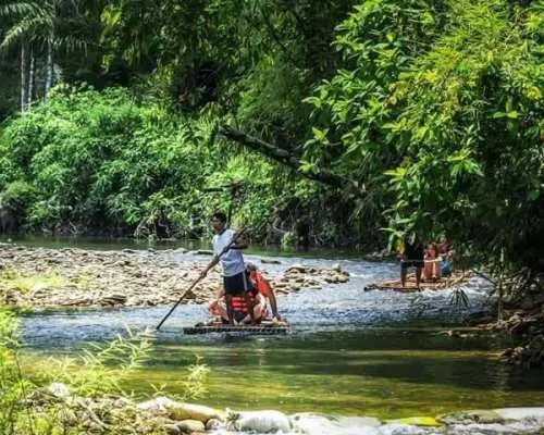 A serene bamboo rafting experience in Phuket, with a visitor paddling calmly down a river, surrounded by lush tropical greenery and clear waters.