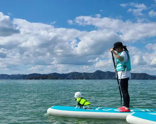 しまなみ海道 SUP・カヤック体験予約（愛媛県 今治市）