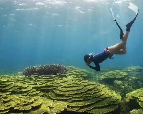 【2026 早鸟优惠】澎湖｜南海跳岛｜七美跳岛｜珊瑚海浮潜 ｜七美来回船票&岛上交通澎湖｜持凭证享水族馆门票第2张半价｜附赠妈宫黑糖糕糕饼类85 折优惠