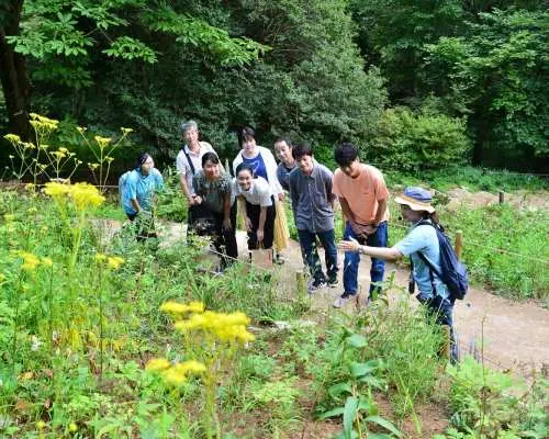 【即時預訂確認】六甲高山植物園|兵庫縣、神戶市