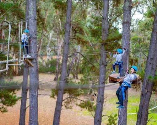 Children on the bushland high ropes course at Southern Adventure Centre, South Australia, wearing safety gear and bravely navigating various elements like wooden bridges, enjoying an exciting outdoor challenge.