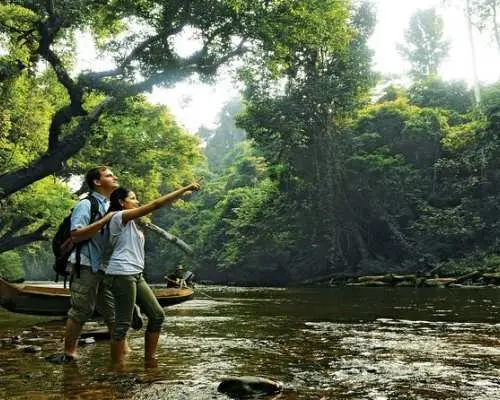 旅客在塔曼尼加拉國家公園的叢林河流邊，指著茂密的雨林景觀，享受探索馬來西亞自然風光。