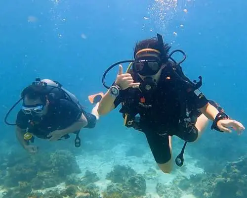 Panglao PADI Scuba Diving Certification Courses | Bohol, Philippines