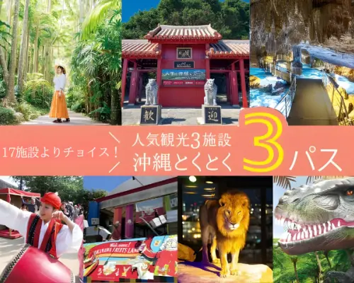 沖縄｜美ら海とくとく5パス・沖縄とくとく3パス｜即予約確認