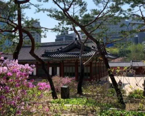 덕수궁, 고종과 걷다