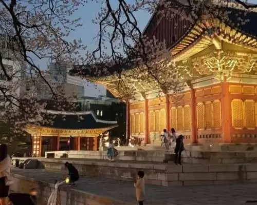 덕수궁, 고종과 걷다
