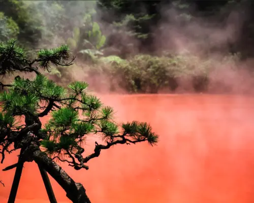 台灣虎航・高雄出發｜福岡 4 天＆5 天計劃機票・2人成行｜自選超值方案＆贈唐吉軻德優惠券