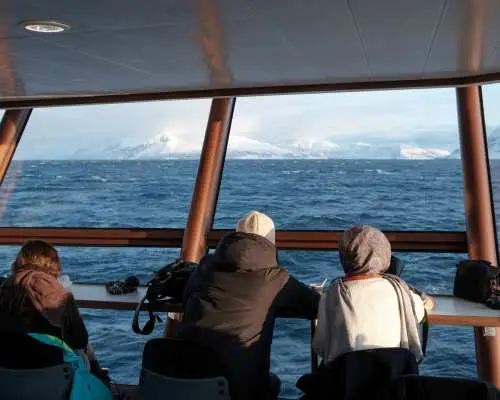 Arctic Fjord Cruise & Visit the Traditional Fishing Facility from Tromsø | Norway
