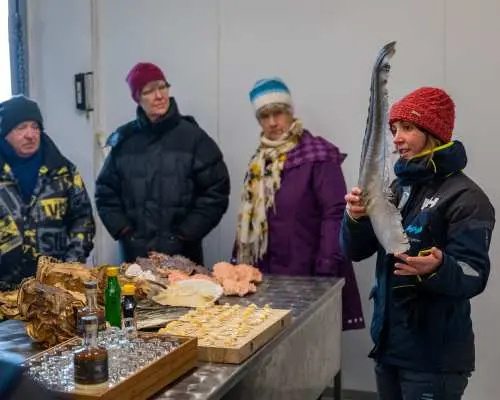 Arctic Fjord Cruise & Visit the Traditional Fishing Facility from Tromsø | Norway