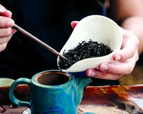 台北｜美加茶園 x 電子餐券｜農遊超市