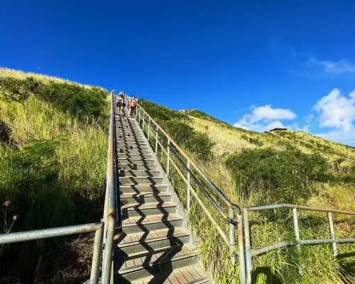 オアフ島のダイヤモンドヘッド山頂トレイルの象徴的な急な階段を登る冒険的なハイカーたち。豊かな緑の斜面に囲まれ、澄み渡る青空の下、早朝の登山の様子です。