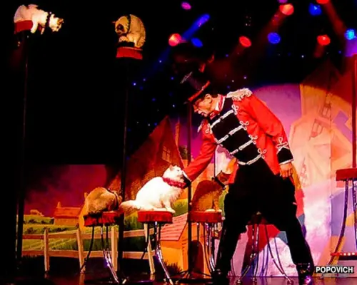 Tickets to Popovich Comedy Pet Theater