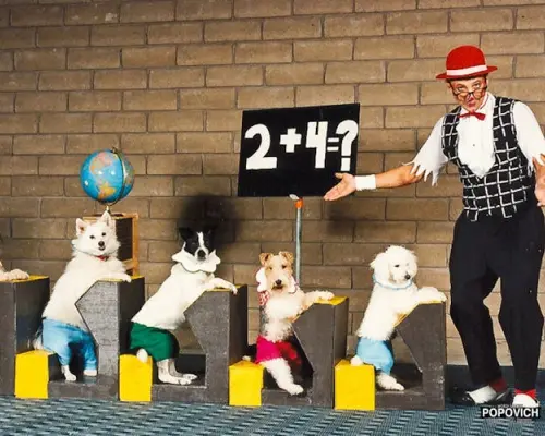 Tickets to Popovich Comedy Pet Theater