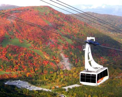 Tochigi Nasu |. ตั๋ว Nasu Kogen ฟรี |