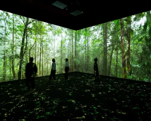 美國舊金山 | 加州科學院門票 California Academy of Sciences