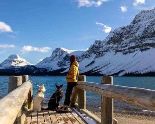 Tour đặc biệt mùa đông | Tham quan Vườn quốc gia Banff, Sông băng Crowfoot, Hồ Bow và Hồ Peyto trong ngày từ Calgary | Alberta